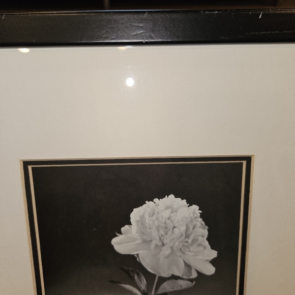 3 black and white framed flower pictures - Picture 11 of 12